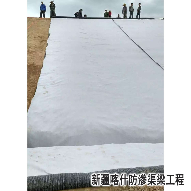 新(xin)疆喀什防(fang)滲渠梁工(gong)程